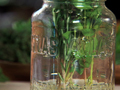 RealAge Cooking Tips & Techniques How to Store Fresh Herbs Video