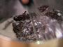 RealAge Cooking Tips & Techniques 60-calorie Brownies ("Small Batch Brownies") Video