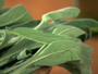 RealAge Cooking Tips & Techniques How to Store Fresh Herbs Video